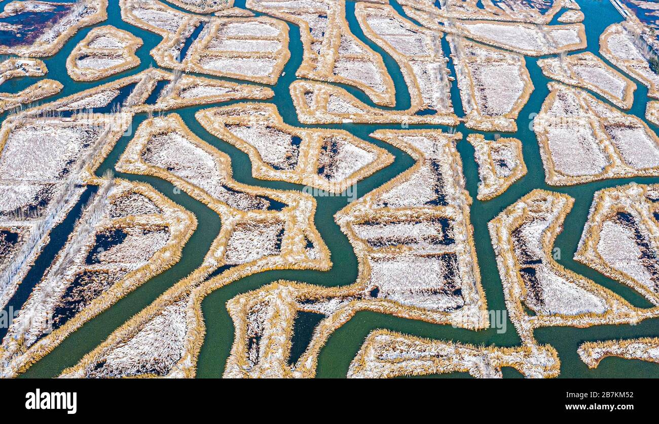 An aerial view of wetland near Hongze Lake covered by snow, forming a remarkable maze composed of various geometric figures, Sihong county, Suqian cit Stock Photo