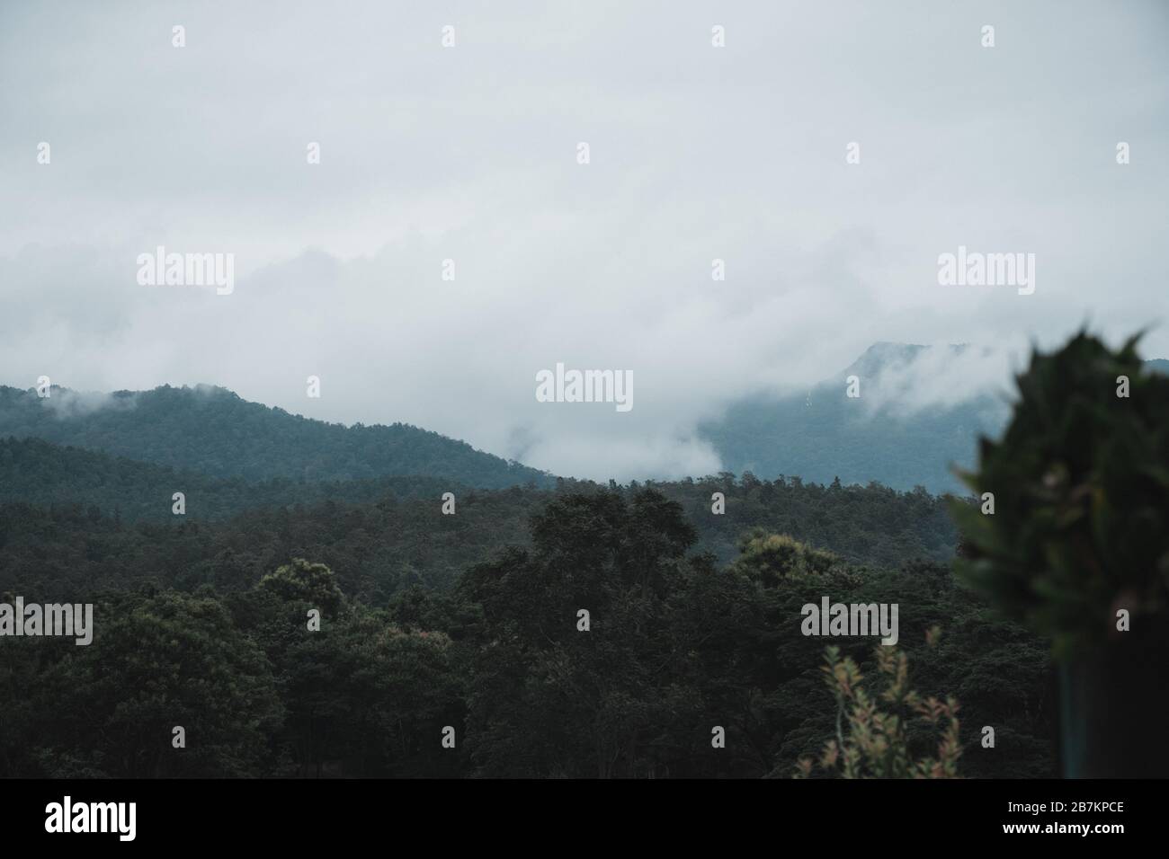 Landscape image of greenery rainforest and hills on foggy day Stock ...