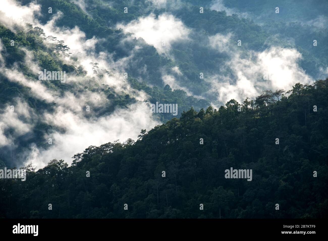 Landscape image of greenery rainforest hills in foggy day Stock Photo ...