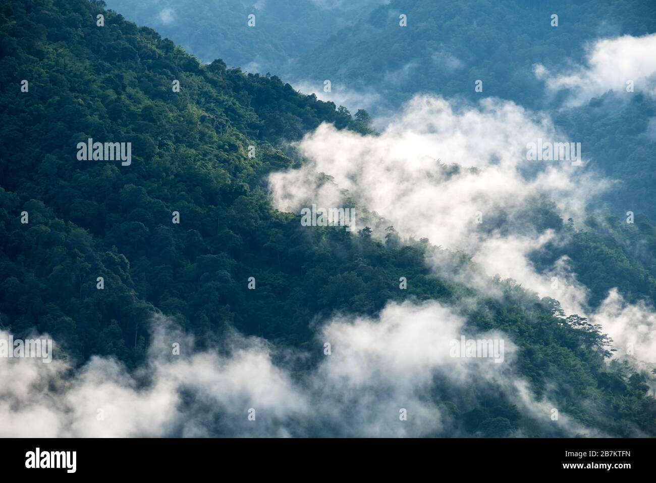 Landscape image of greenery rainforest hills in foggy day Stock Photo ...