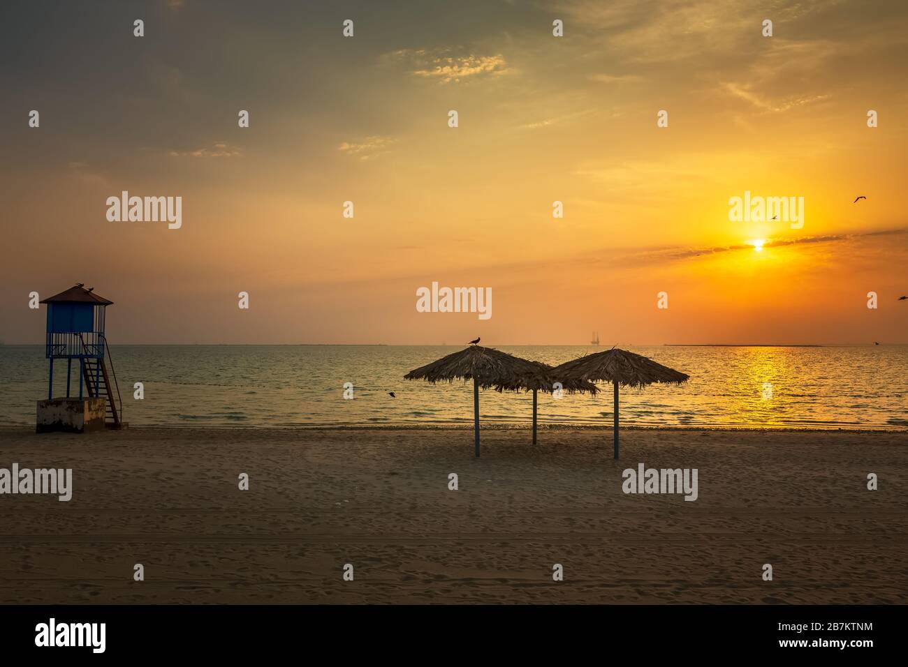 Saudi arabia saudi arabia hi-res stock photography and images - Alamy