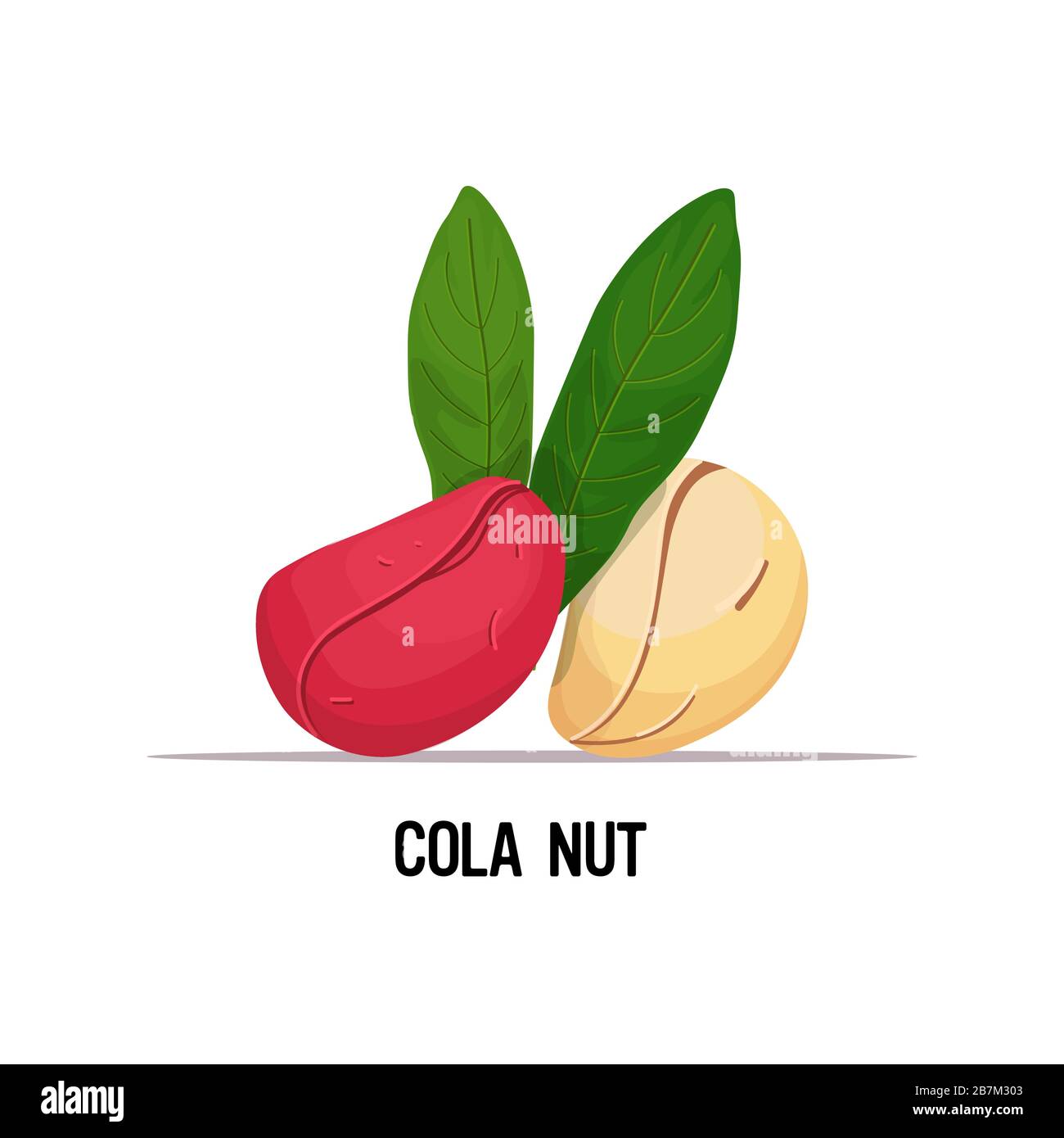 Kola Nut Coca Cola
