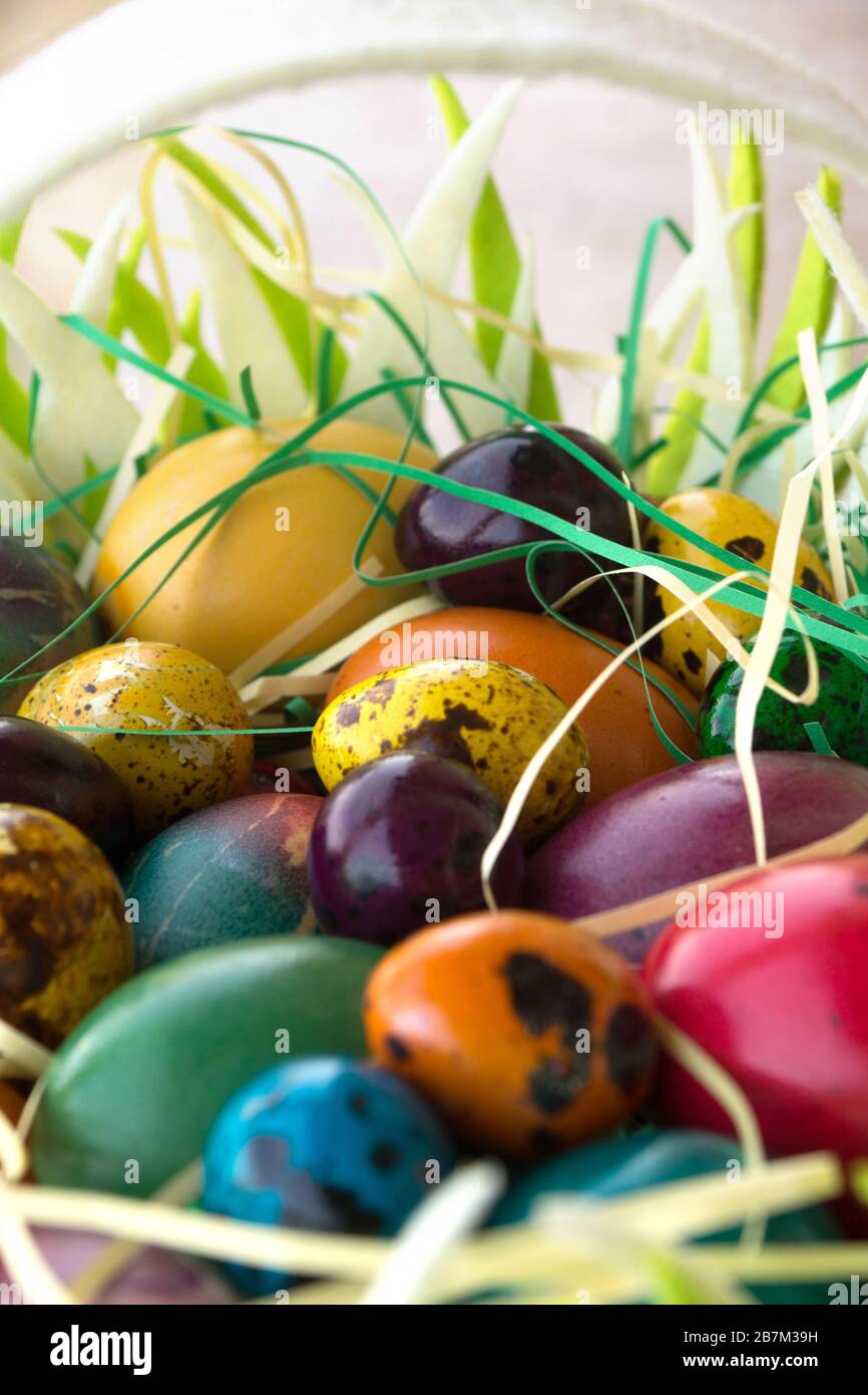 Multicolored painted Easter eggs in hand basket Stock Photo