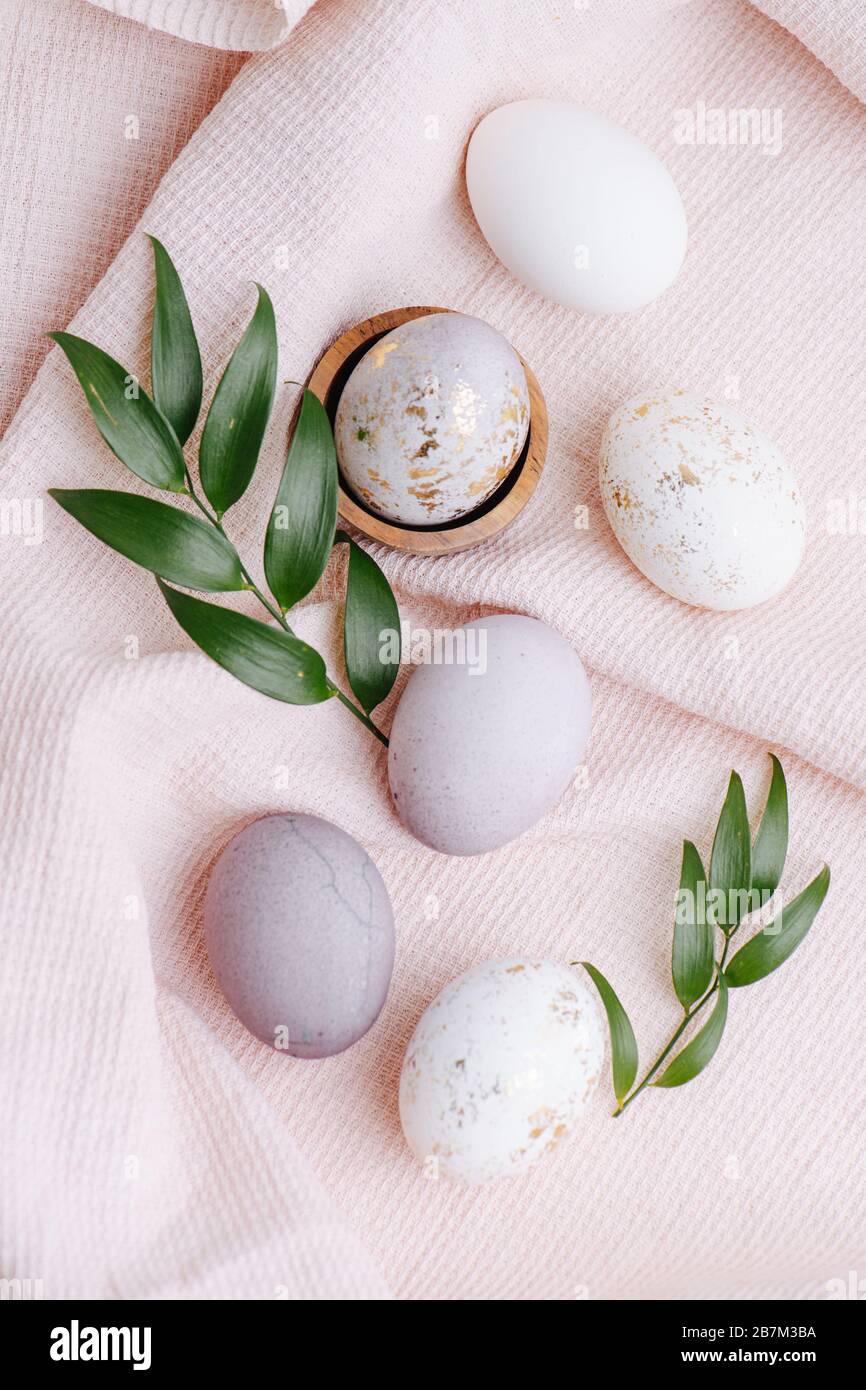 Painted boiled eggs and branches with leaves for Easter Stock Photo
