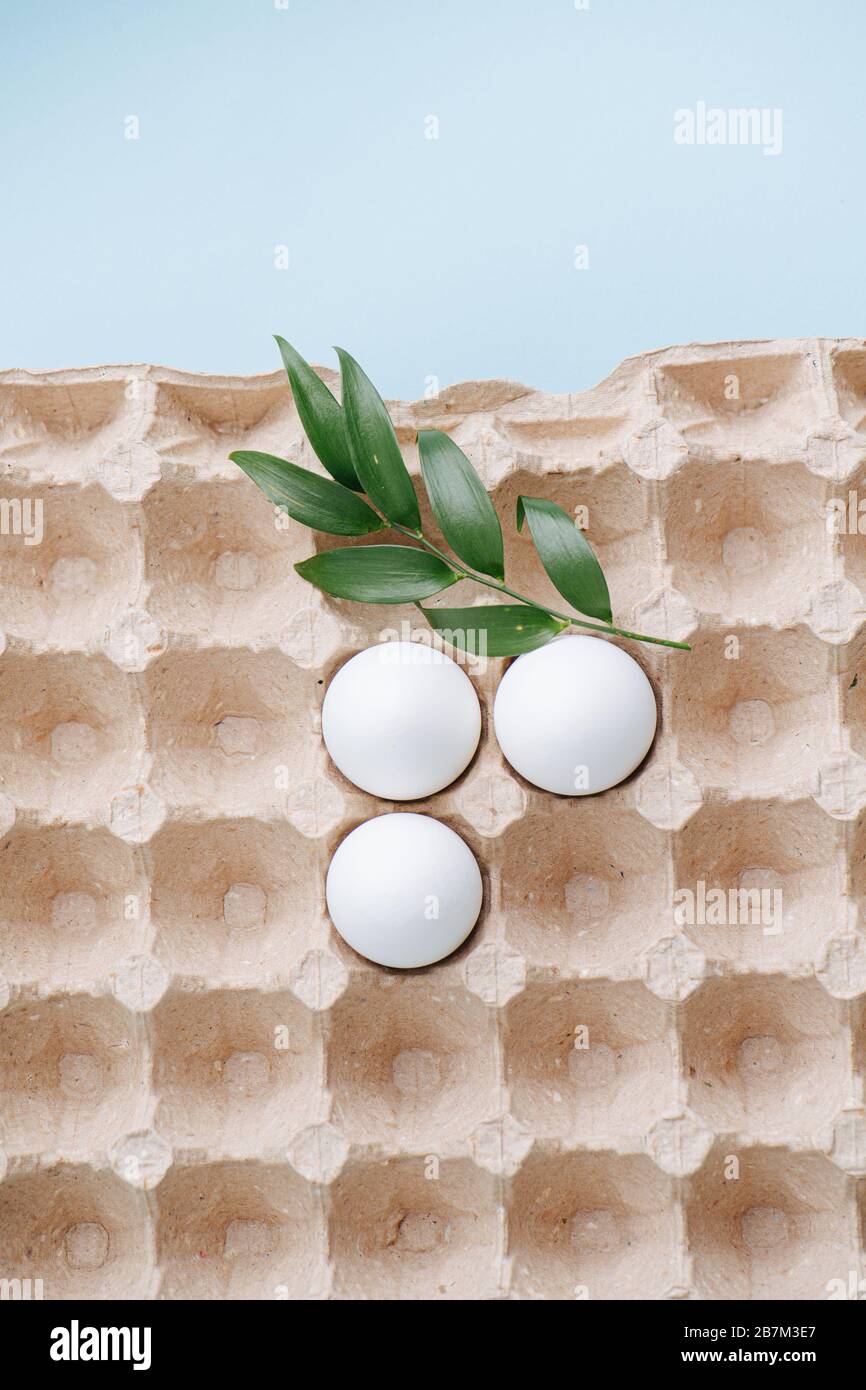 The white eggs in eco friendly packaging Stock Photo