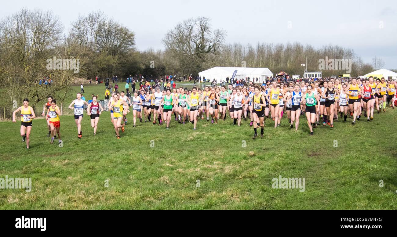 Female,women,Runners,British Athletics Cross Challenge,Loughborough,,of