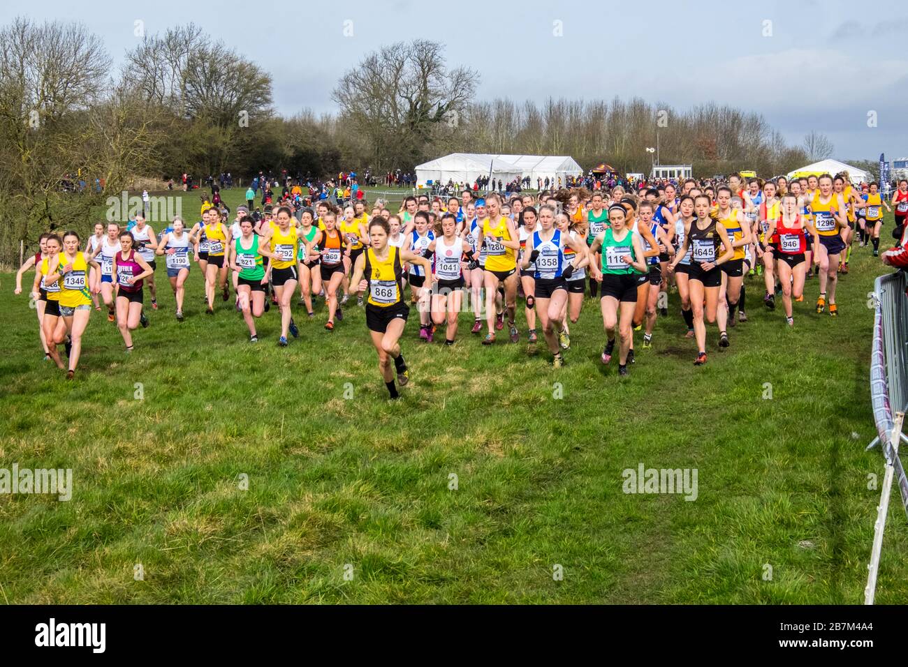 Runners,British Athletics Cross Challenge,Loughborough,Charnwood Borough,of,Leicestershire,East,Midlands,England,UK,GB,Great,Britain,British,English, Stock Photo