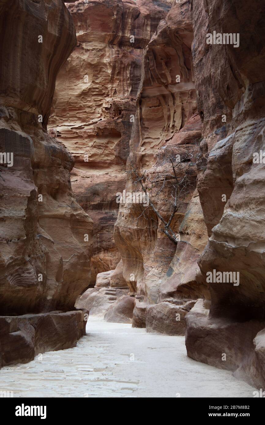 Moses Spring Wadi musa spring, jordan not nebo hi-res stock photography and images ...