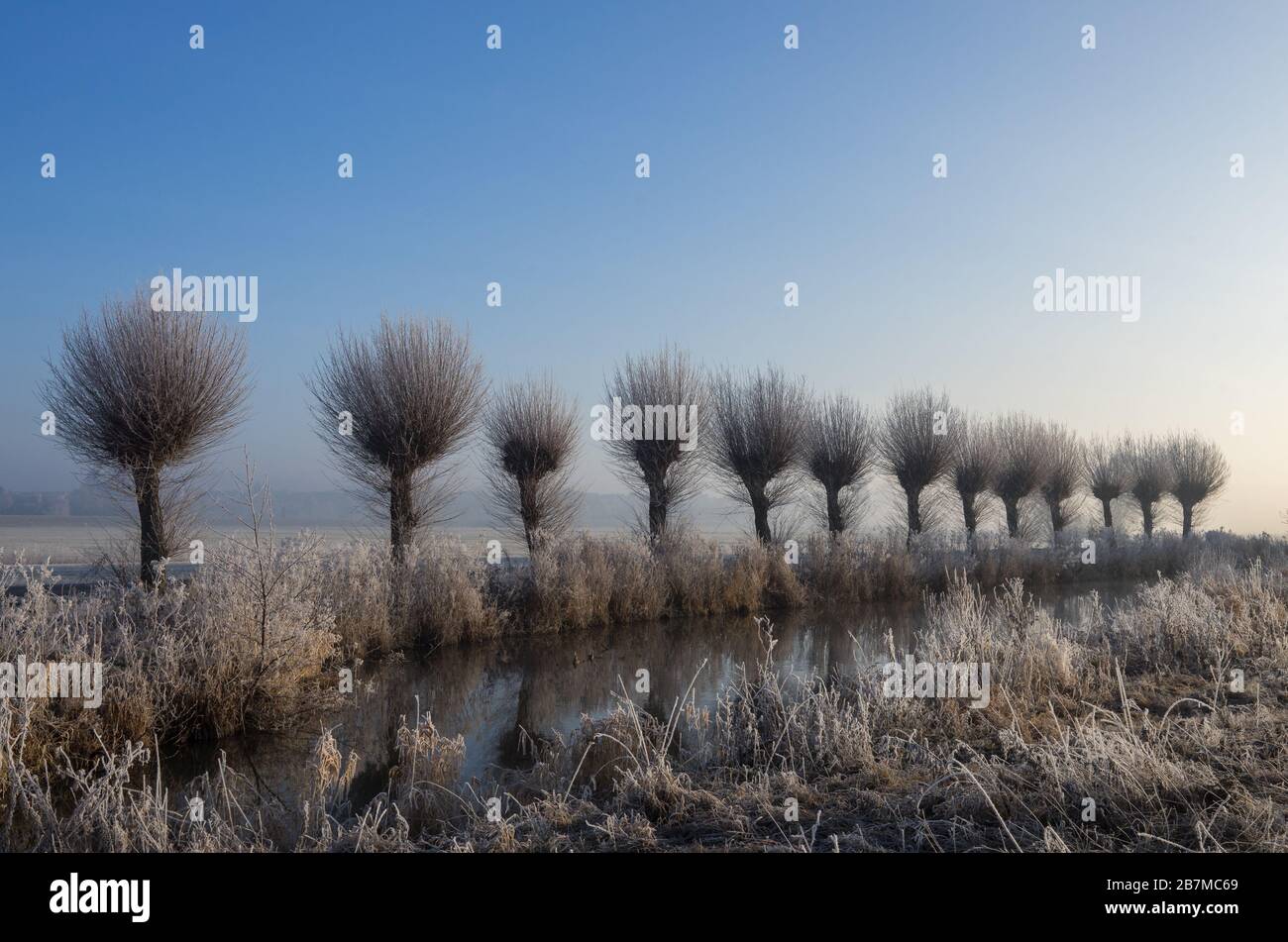 Ziegenhain hi-res stock photography and images - Alamy