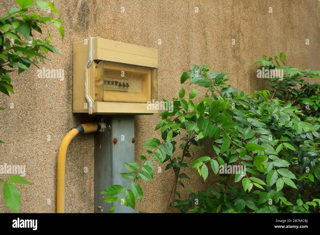 Closeup switchboard in the garden installed by attached to the wall and connected to electrical conduit and wire way Stock Photo