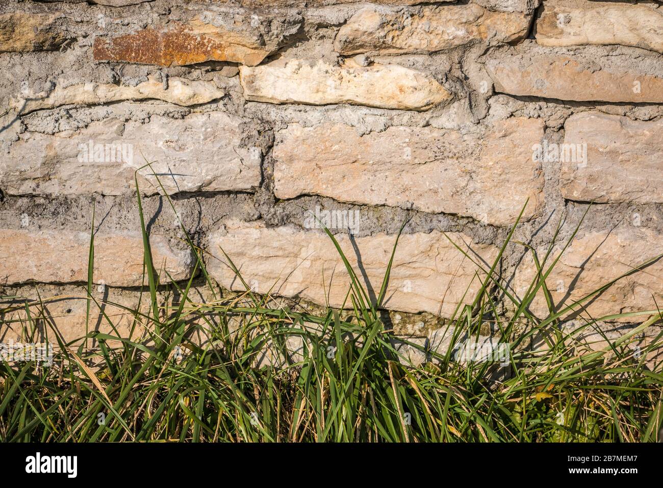 Big stone wall and green grass in the garden Stock Photo