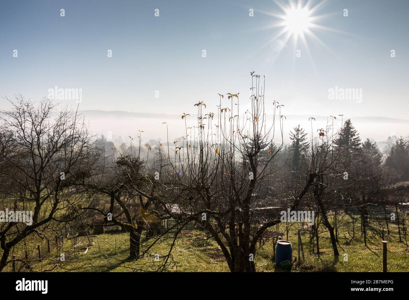 The sun above the green garden and dense fog in the valley Stock Photo