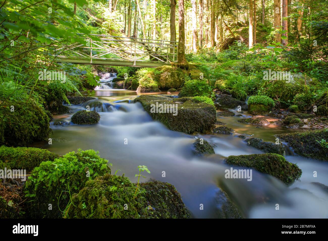 Höllbach - a creek in the Black Forest / Germany Stock Photo