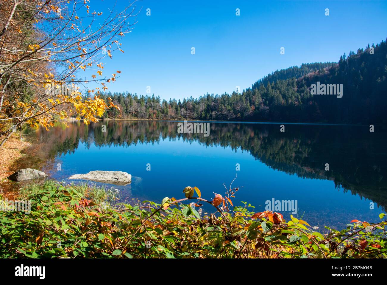 Feldsee - a lake in the Black Forest near Feldberg / Germany Stock Photo