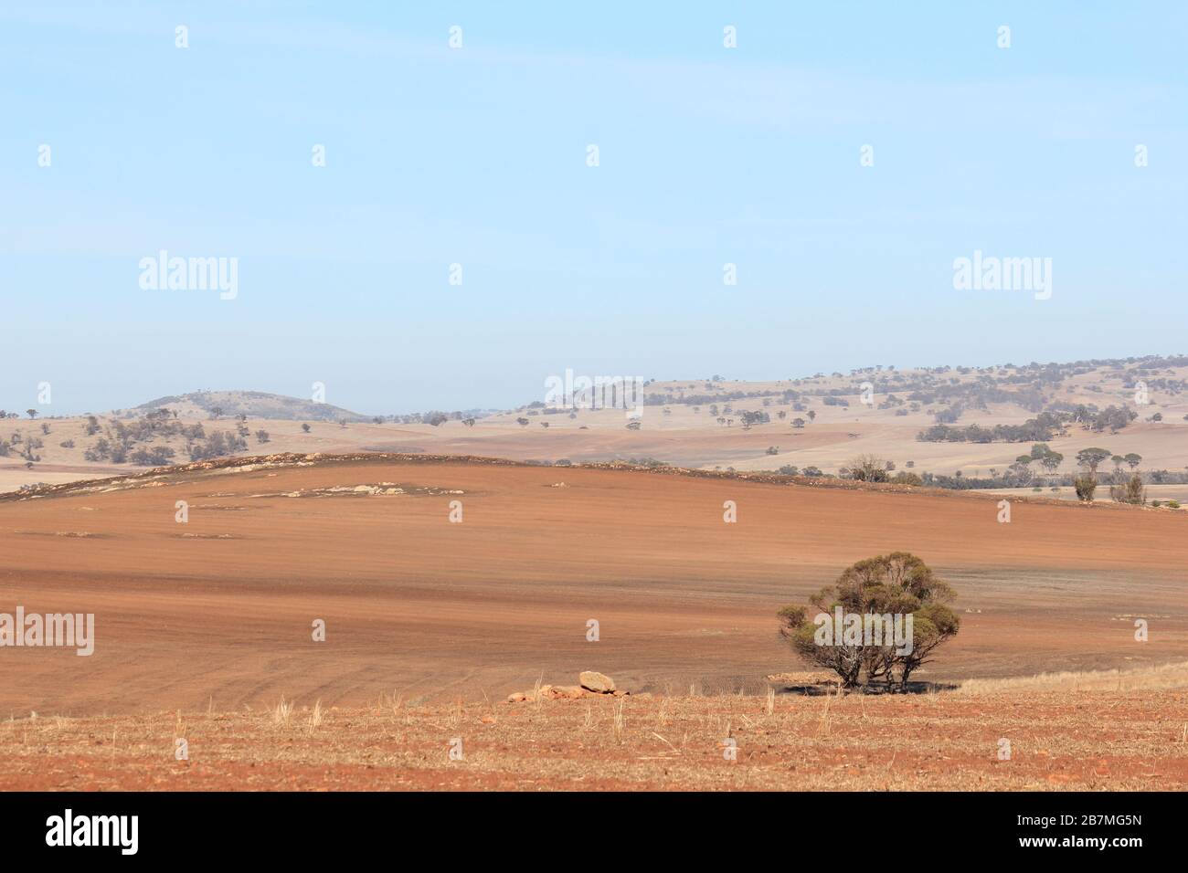The Wheatbelt Western Australia Stock Photo Alamy
