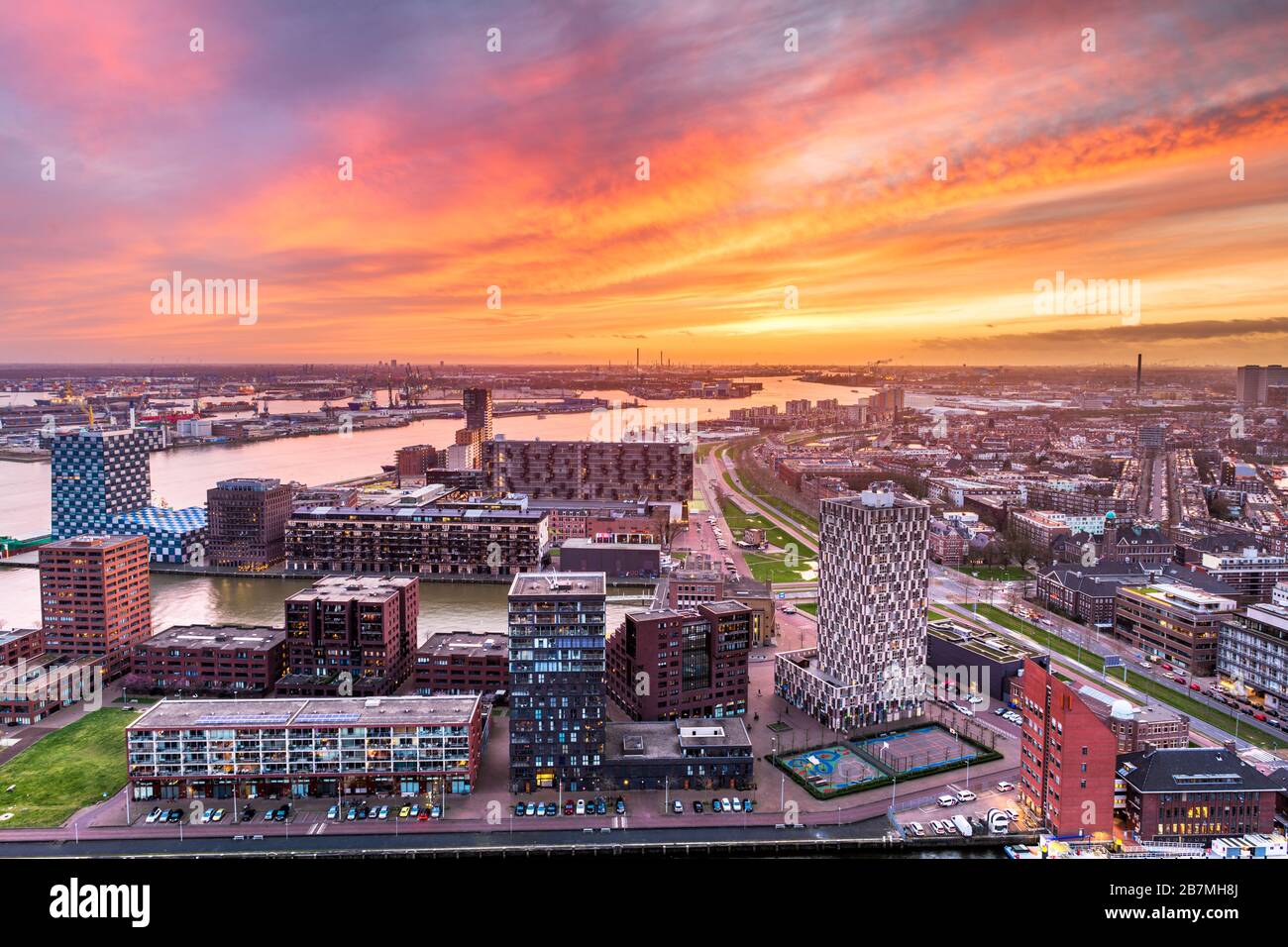 Rotterdam, Netherlands, city skyline at twilight. Stock Photo