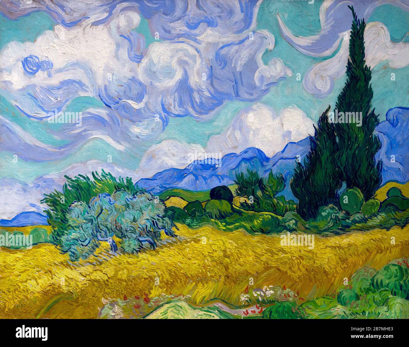 Cypresses By Vincent Van Gogh High Resolution Stock Photography And Images Alamy