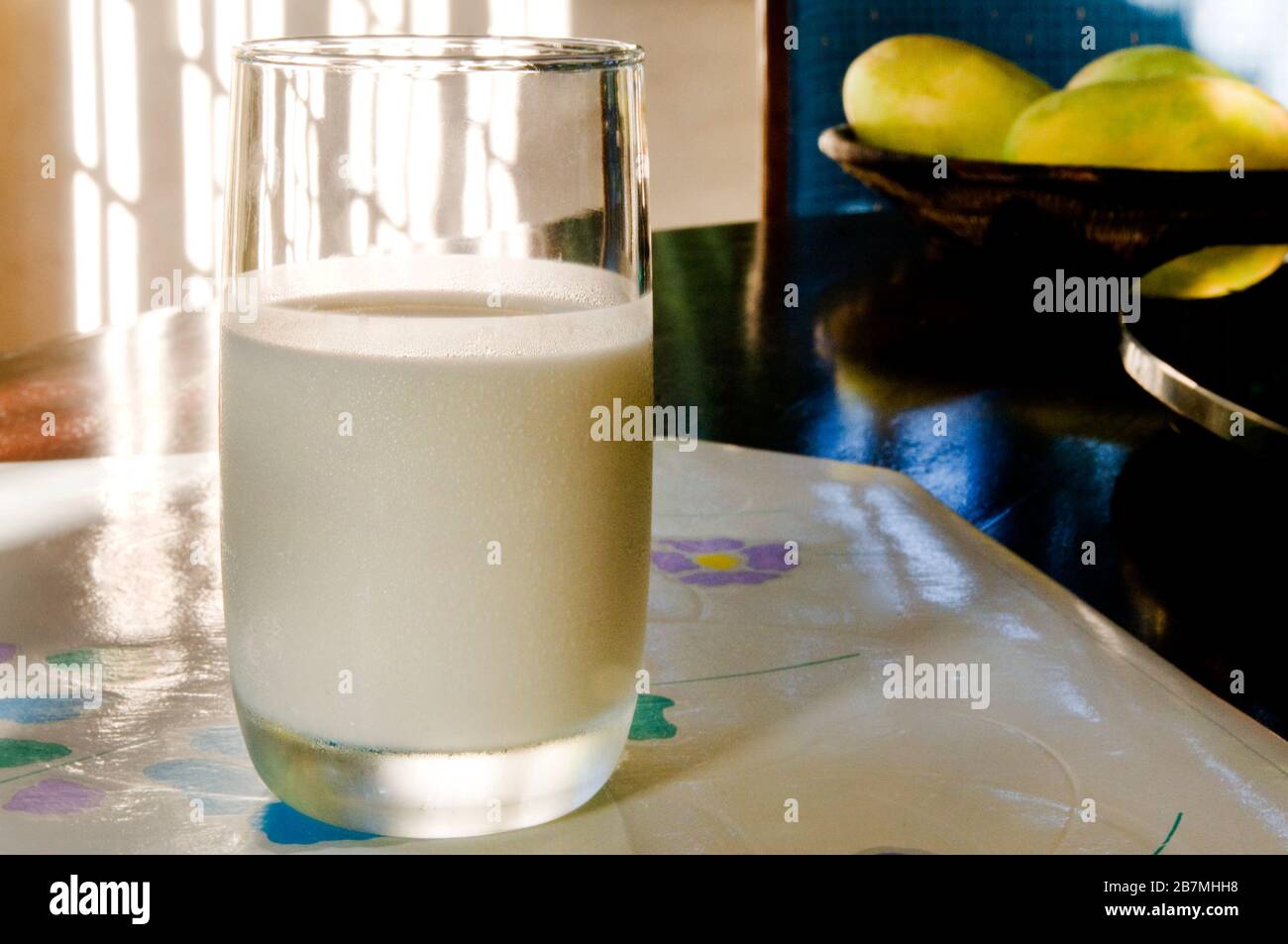 Milk is a nutritious white liquid food from mammals. It is the primary source of nutrition for babies. Stock Photo
