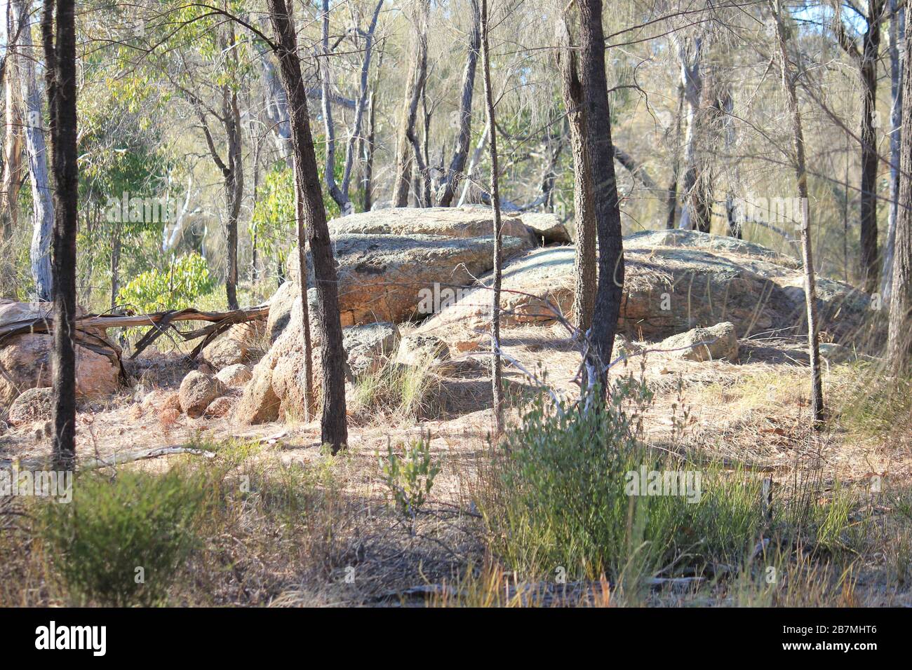 sandstone boulders , Woodland magic at foxes lair Narrogin Stock Photo