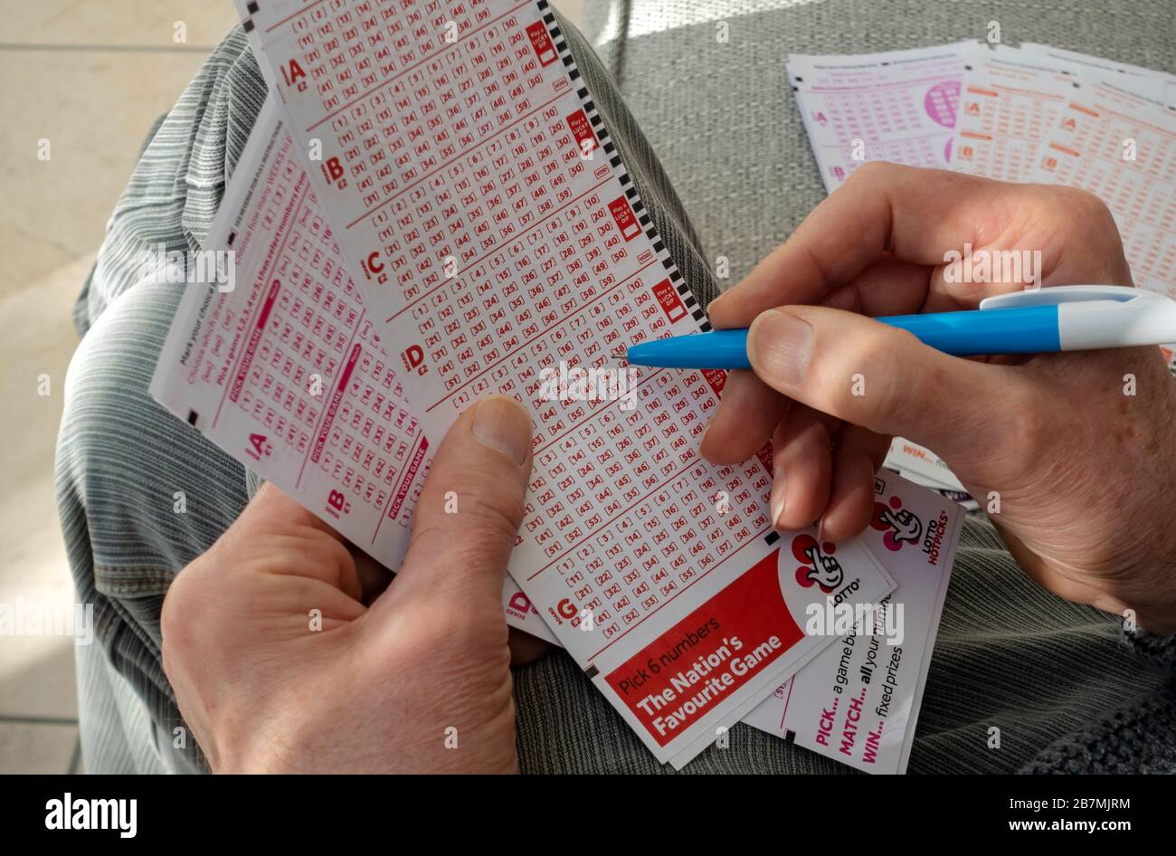 Close up of person man choosing gambling holding filling in National Lotto lottery slip form England UK United Kingdom GB Great Britain Stock Photo