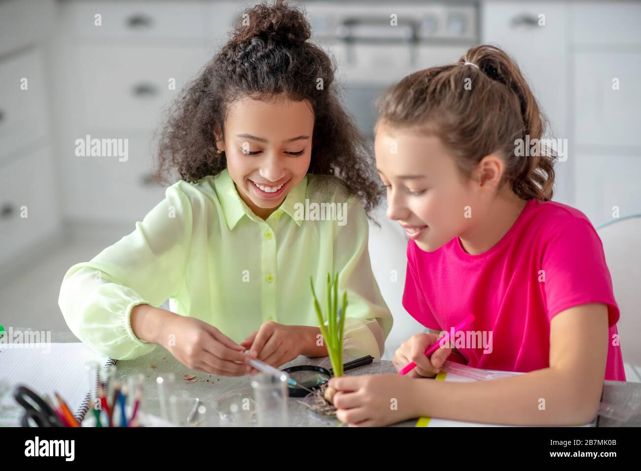 Two girlfriends conducting a botanical experiment at home Stock Photo