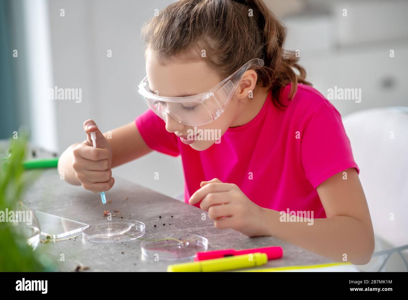 Smart girl conducting a botanical experiment at home Stock Photo Alamy
