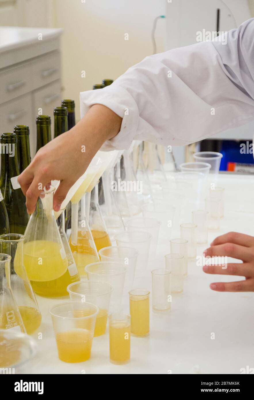 Wine production chemistry hires stock photography and images Alamy