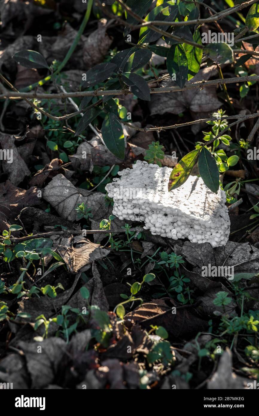 Plastic waste thrown away in the middle of nature Stock Photo