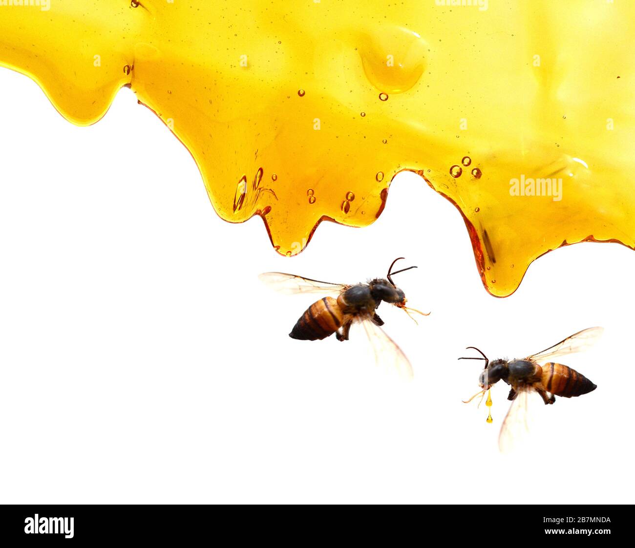 Honey background with bee, wax Stock Photo Alamy