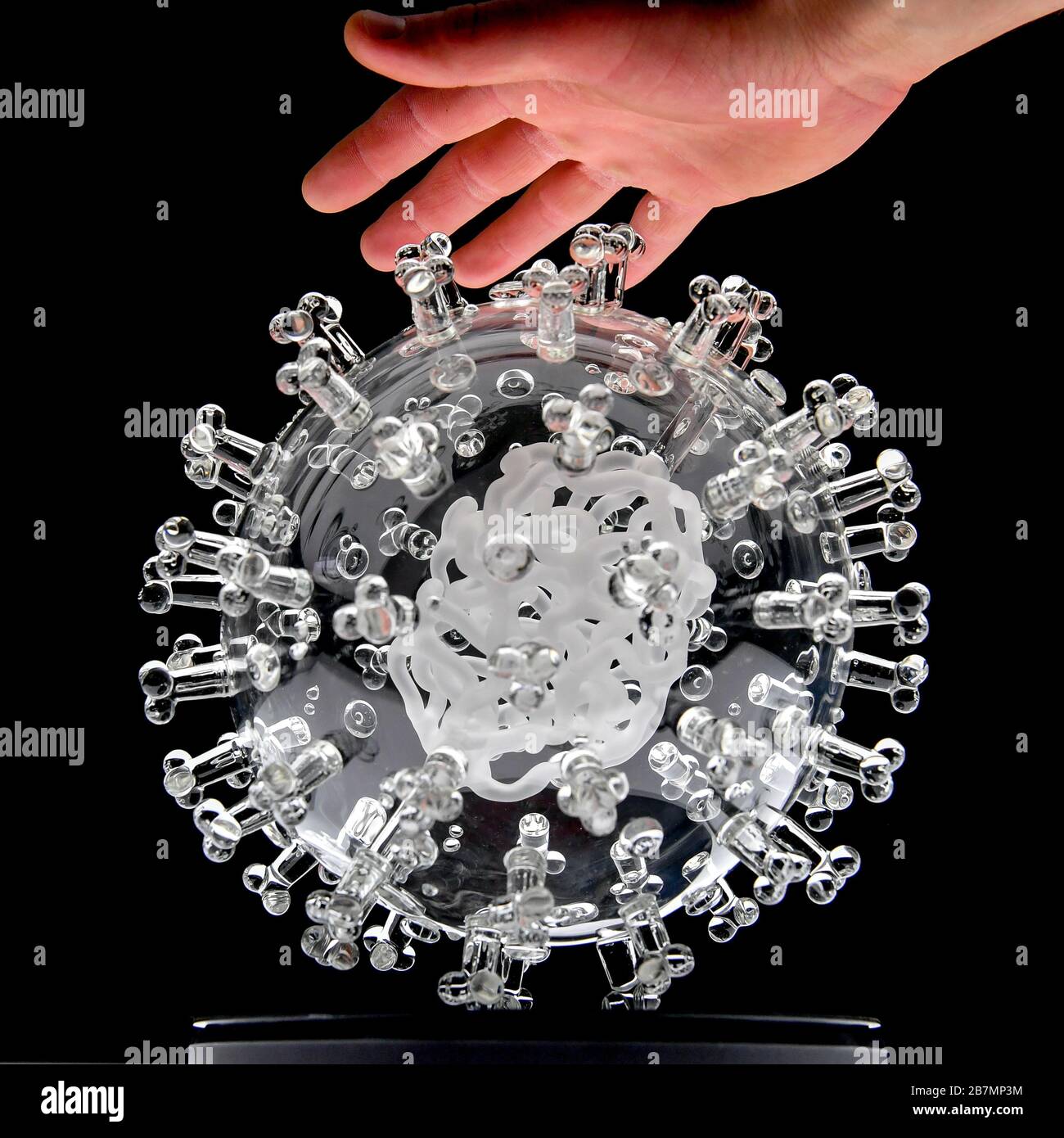 A glass sculpture of the coronavirus (COVID-19) by Bristol-based artist Luke Jerram, which, measuring 23cm in diameter, is a million times larger than the actual virus. It was commissioned five weeks ago for the Duke University School of Engineering in America. Stock Photo