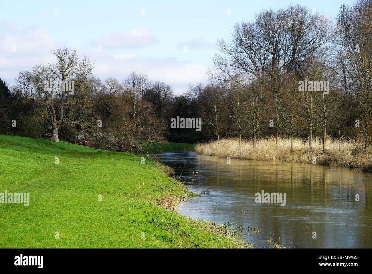 The River Great Ouse between Pavenham and Stevington Stock Photo - Alamy