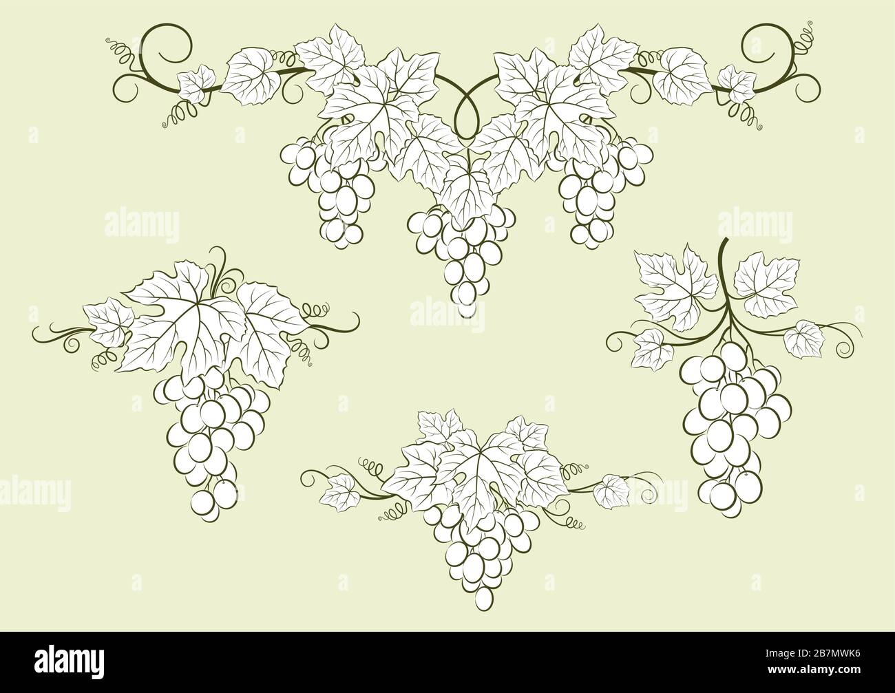 Set of Grape Labels Stock Vector