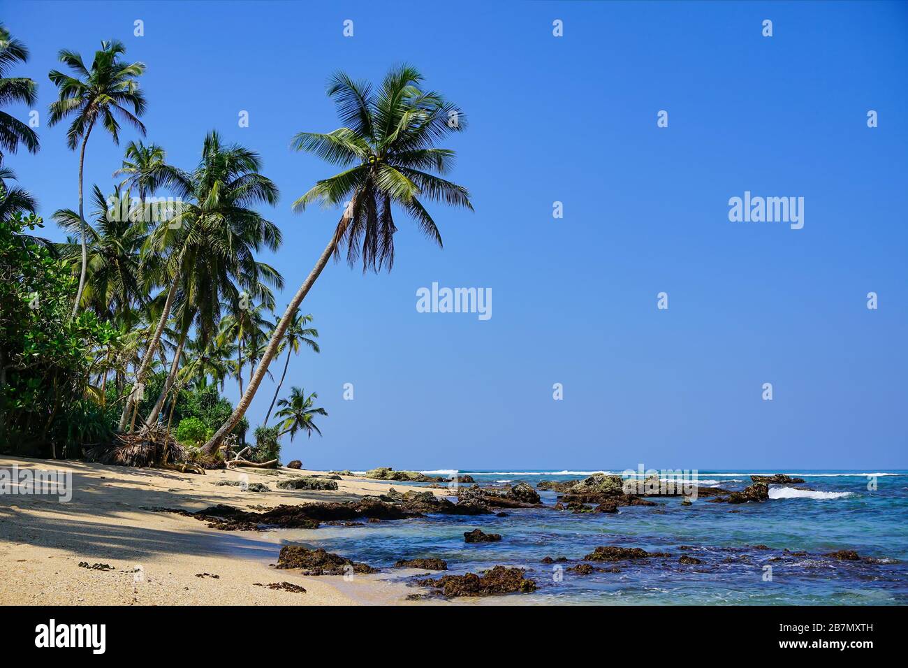 Scenic view of coconut palms and the Idian Ocean from the pristine sandy beach. The beaches of Sri Lanka (such as Hikkaduwa, Mirissa, Unawatuna). Stock Photo