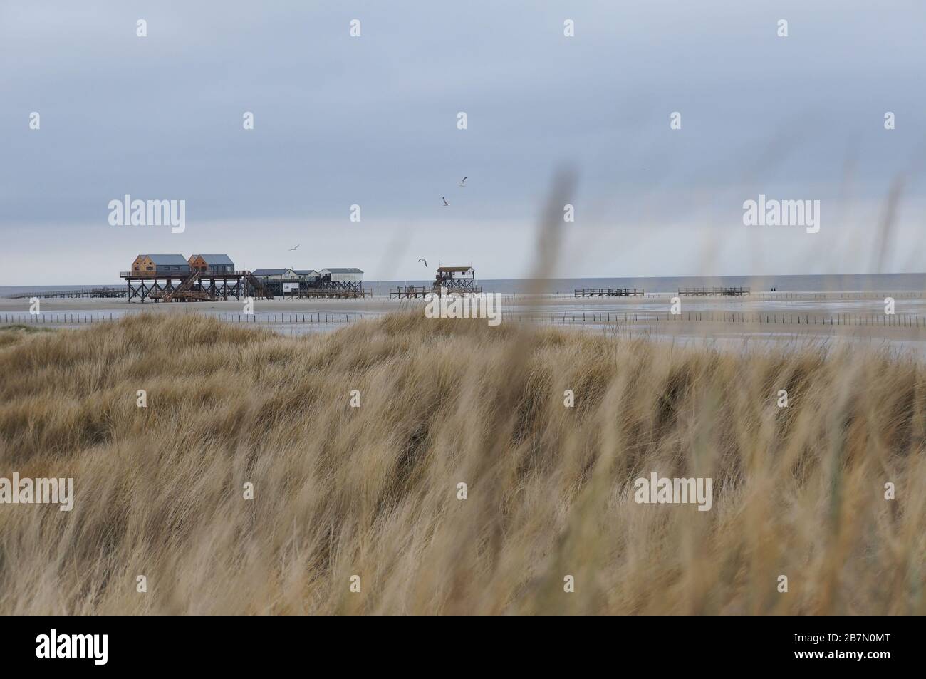 Stilt houses on the beach of St. Peter Ording, North Sea Germany Stock Photo