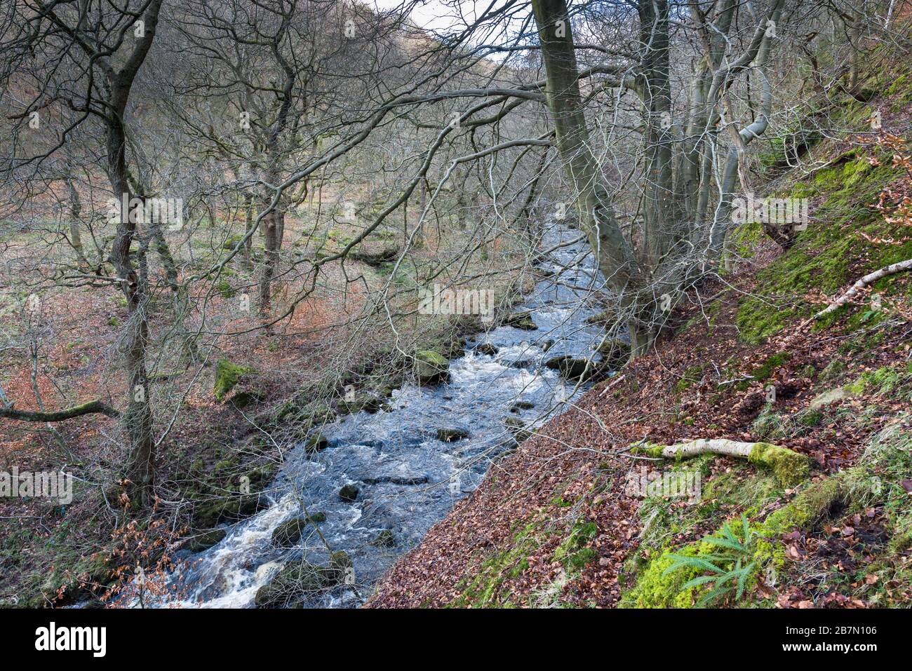Ladybower Brook near Ashopton, Peak District National Park, England Stock Photo