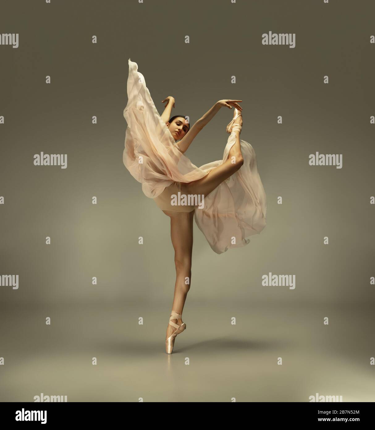 Spring blooming. Graceful classic ballerina dancing on grey studio ...