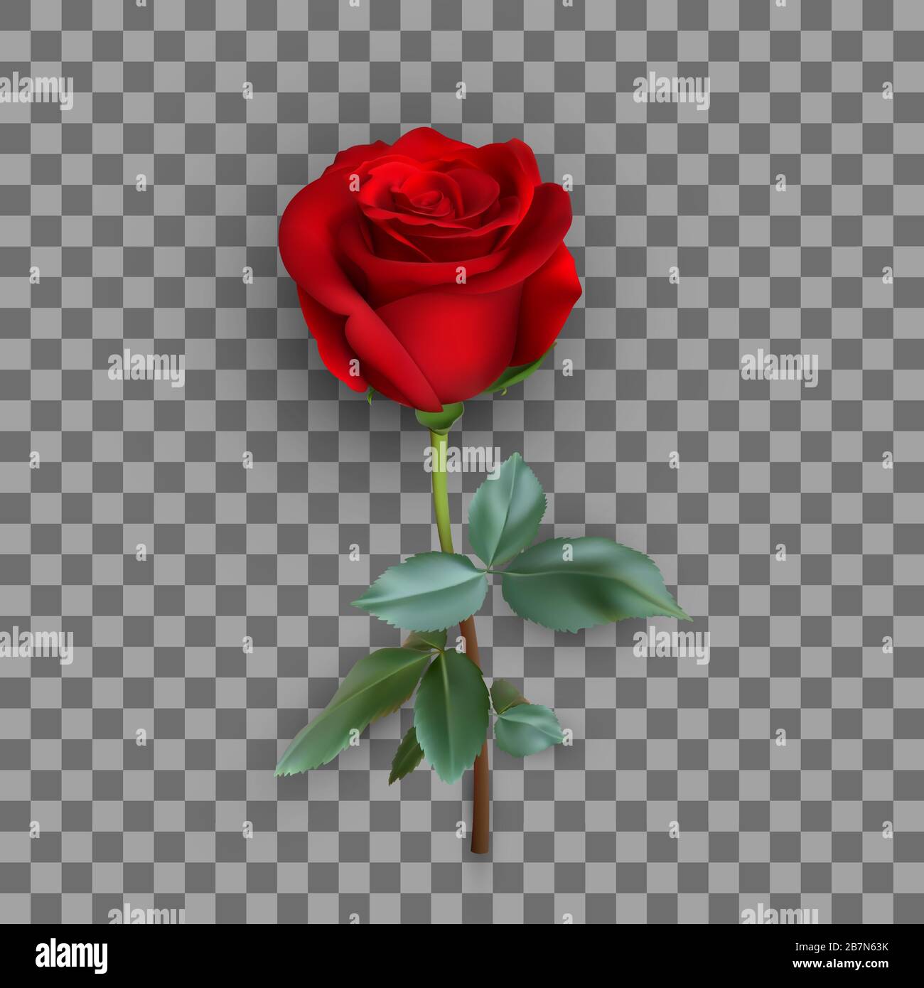 realistic rose design isolated on background, vector illustration Stock Vector
