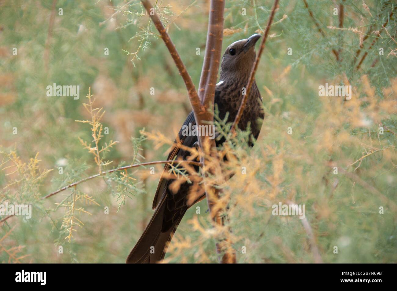 Look listen and feel hi-res stock photography and images - Alamy