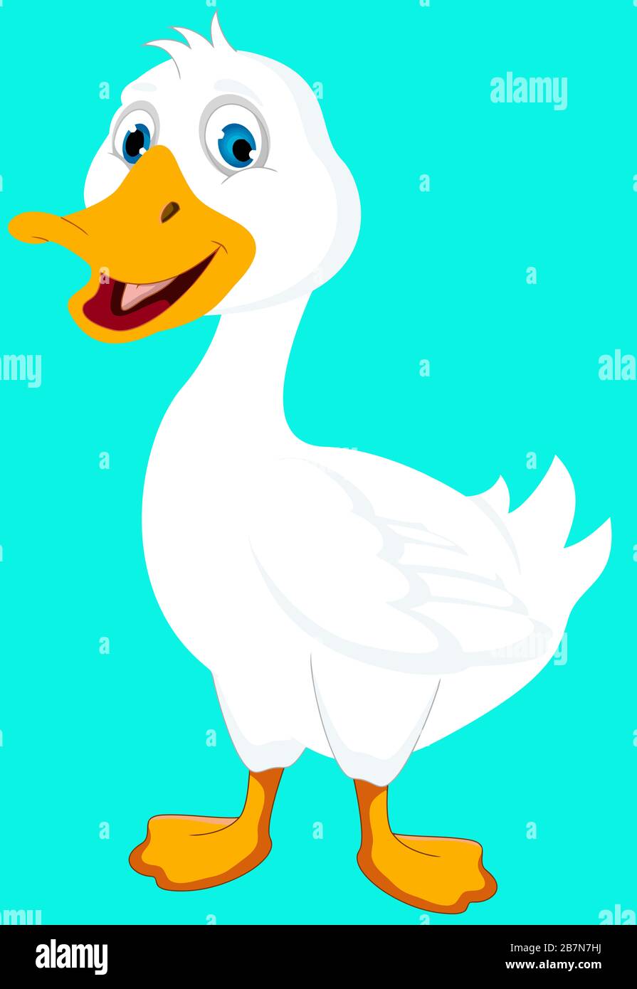 white duck animal farm illustration Stock Photo