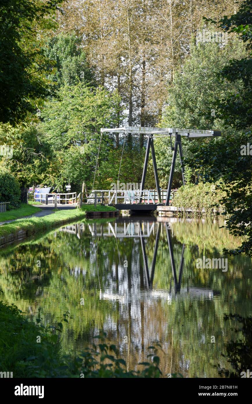 Lift bridge 81, surrounded by trees, reflected in the Montgomery Canal on a sunny summers day. Stock Photo