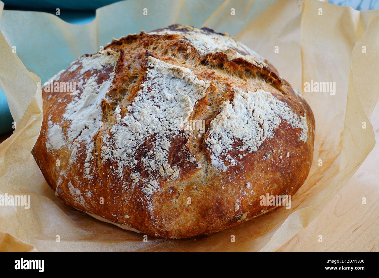 Loaf of crusty miracle overnight no knead bread baked on parchment paper Stock Photo