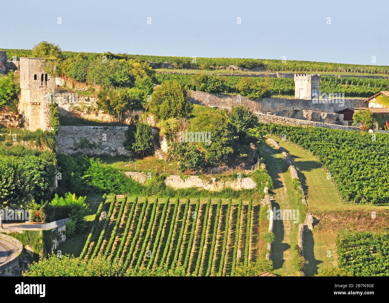 vineyards in the city of Saint-Emilion, Gironde, Nouvelle Aquitaine, France Stock Photo