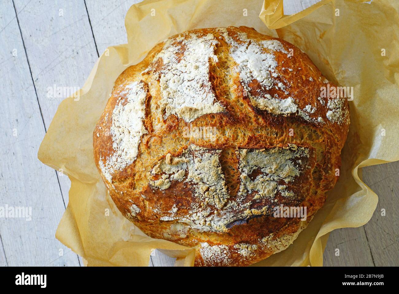 Loaf of crusty miracle overnight no knead bread baked on parchment paper Stock Photo