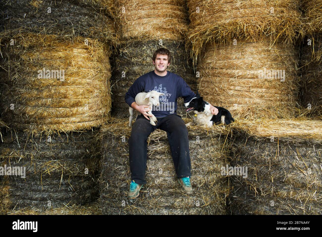 Farmer with his dog and a sheep. Catalonia (Spain) Stock Photo