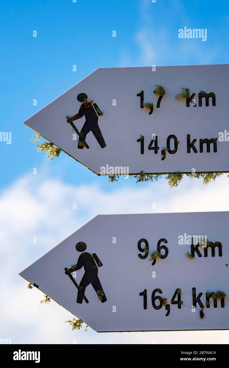 Signposts for hiking trails overgrown with lichen, La Gomera, Canary Islands, Spain Stock Photo