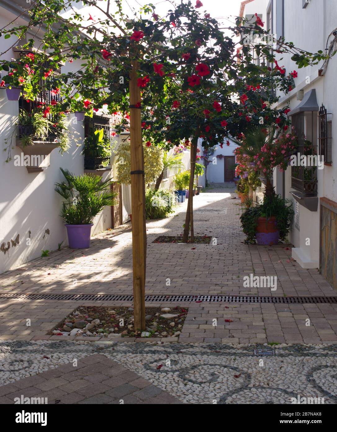 Breathtaking Estepona, Spain. The City of Flowers. Each cobbled street ...