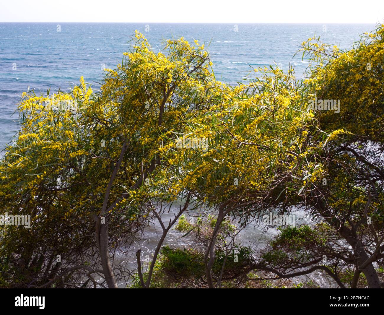 Beach Walk along Estepona Beach, Marbella, Spain. Wonderful February