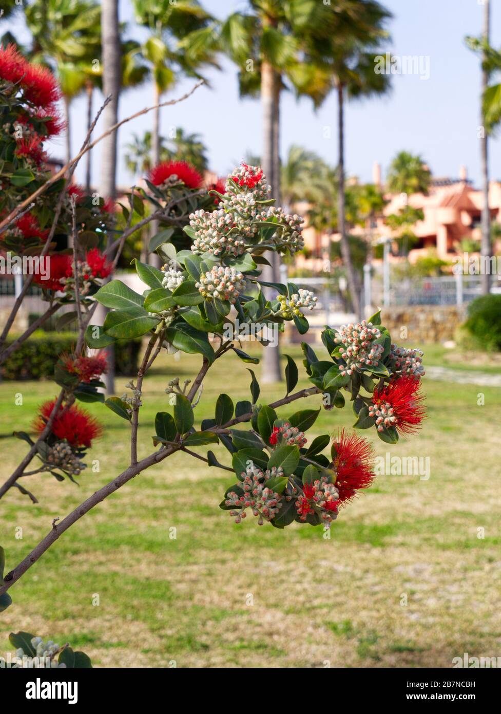Beach Walk along Estepona Beach, Marbella, Spain. Wonderful February