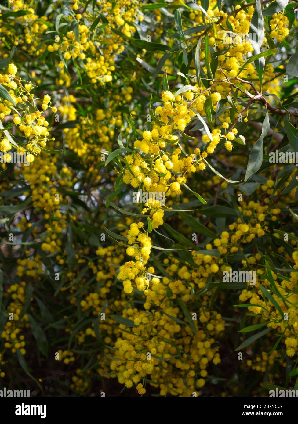 Beach Walk along Estepona Beach, Marbella, Spain. Wonderful February