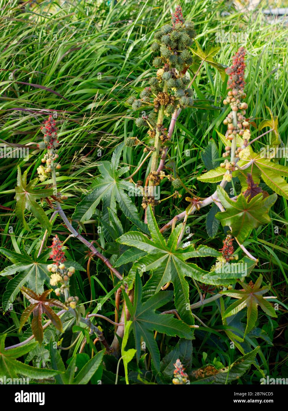 Beach Walk along Estepona Beach, Marbella, Spain. Wonderful February